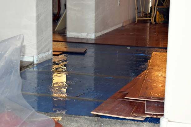 Professional Emergency Water Damage Restoration technician working in Bowersville, OH
